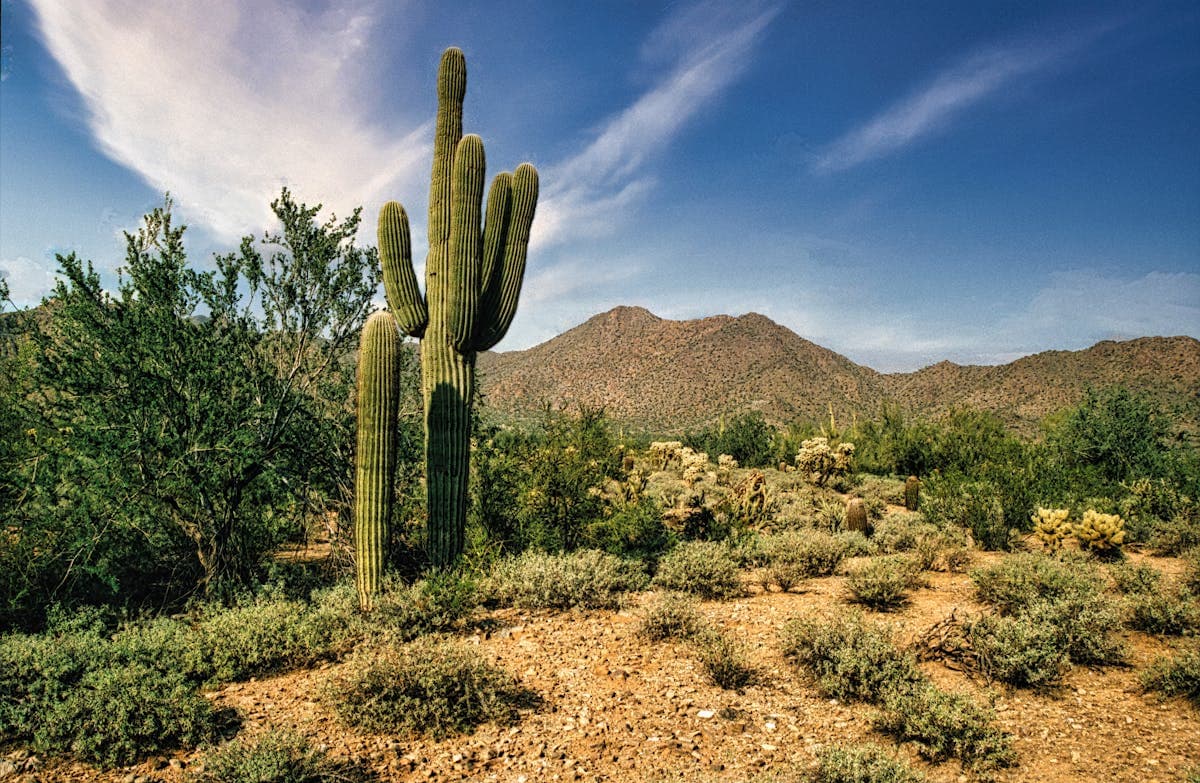 Outdoor Adventures & Tours