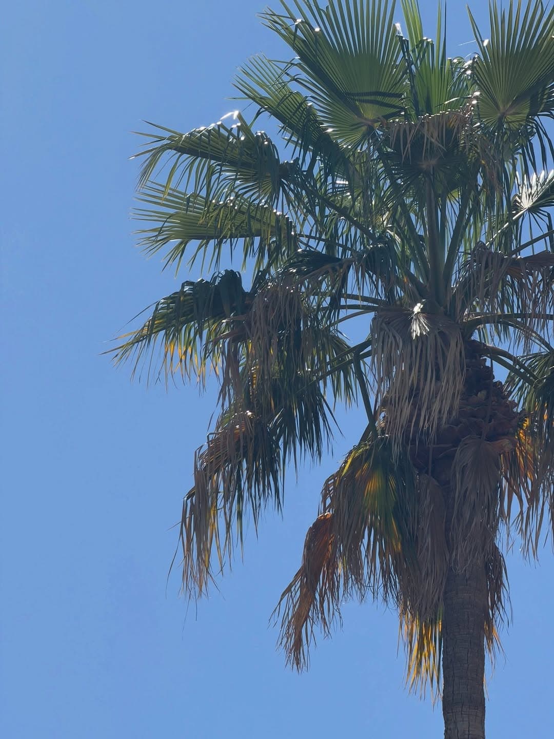 Truly Blessed Jewels gallery 6